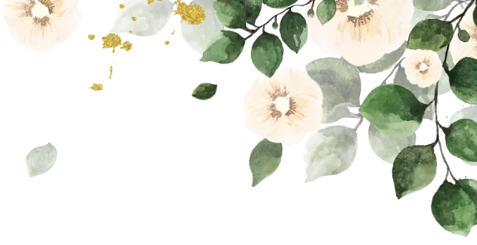 Opening